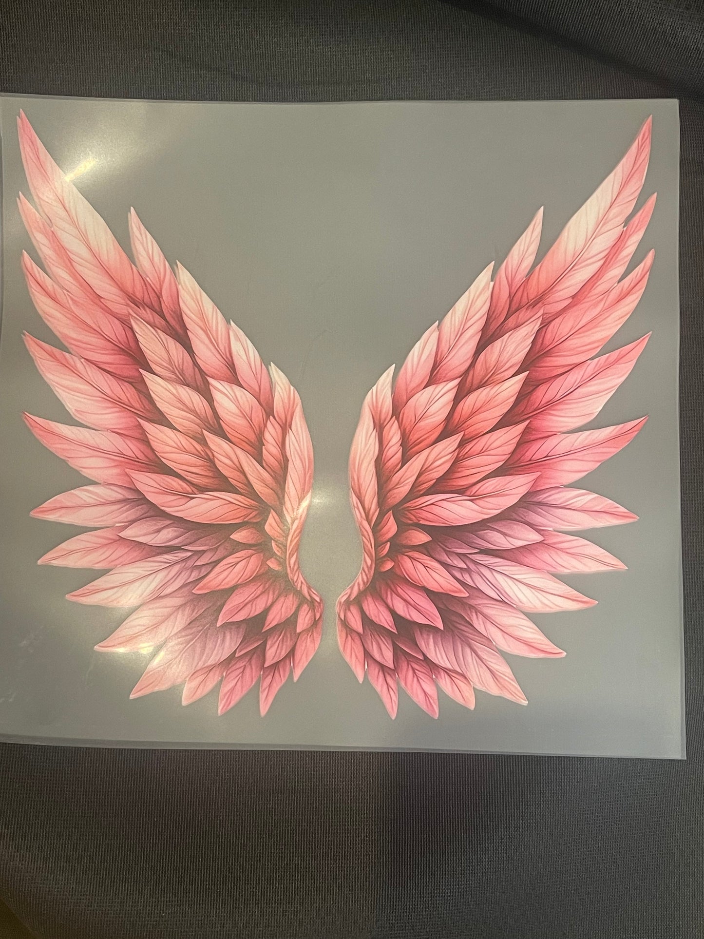 Flügel / Wings Heattransfer 10 Inch