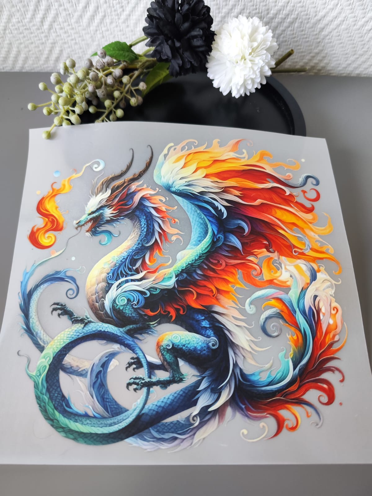 Drachen HeatTransfer 10 Inch