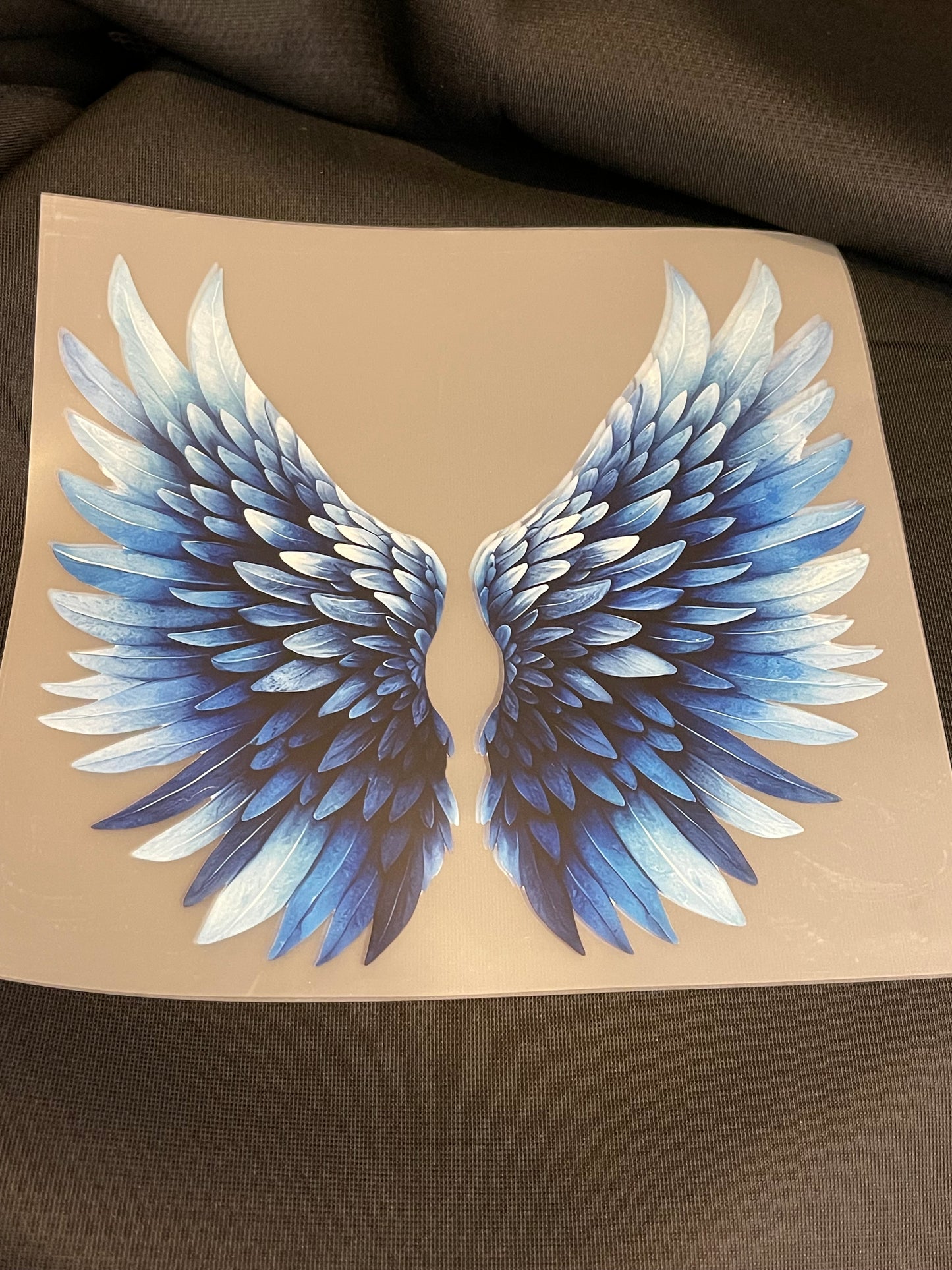 Flügel / Wings Heattransfer 10 Inch